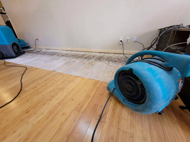 Professional Water Damage Repair technician working in Dallas, GA